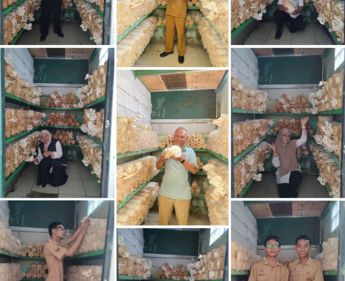 🍄 Rumah Jamur SMP Negeri 2 Bojonggede: Belajar, Berkarya, dan Peduli Lingkungan